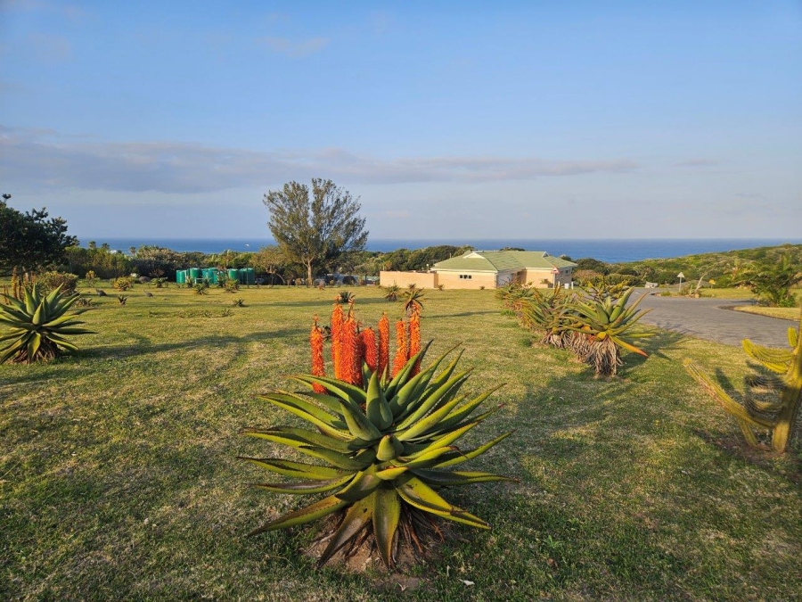 0 Bedroom Property for Sale in Glen Stewart Eastern Cape